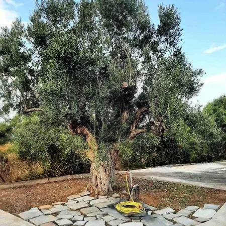 Apartment Castello Kalyves Polygyrou