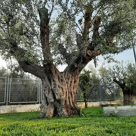 Castello Lejlighed Kalyves Polygyrou